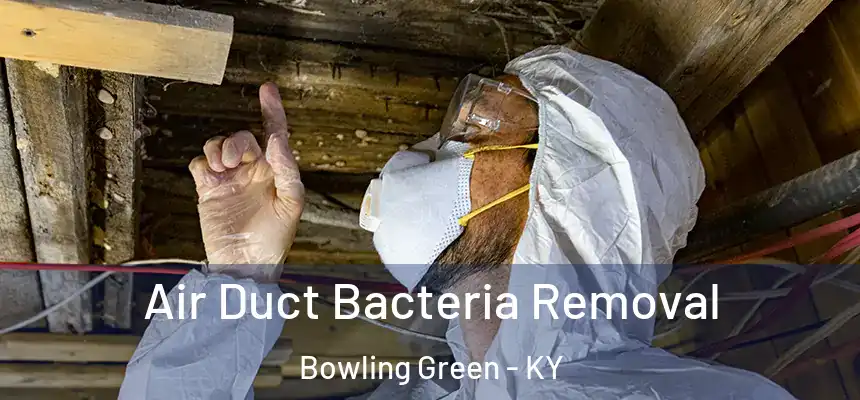  Air Duct Bacteria Removal Bowling Green - KY