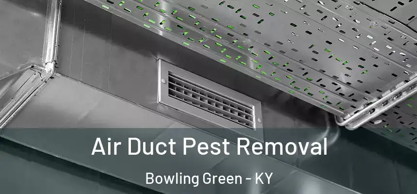 Air Duct Pest Removal Bowling Green - KY