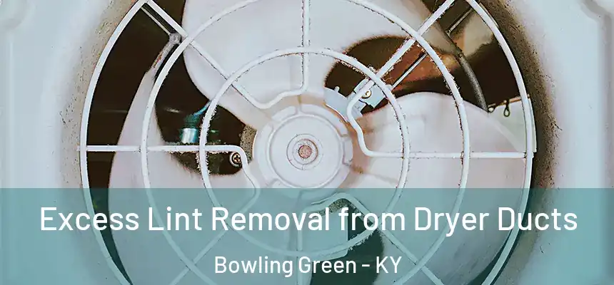 Excess Lint Removal from Dryer Ducts Bowling Green - KY