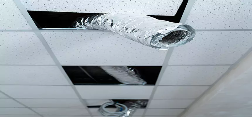 Affordable HVAC Sanitizing After Pest Removal in Bowling Green