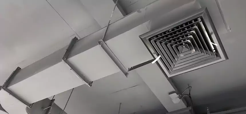 Restorative Allergy Relief Vent Cleaning – Coil, Blower & Housing Detail in Bowling Green