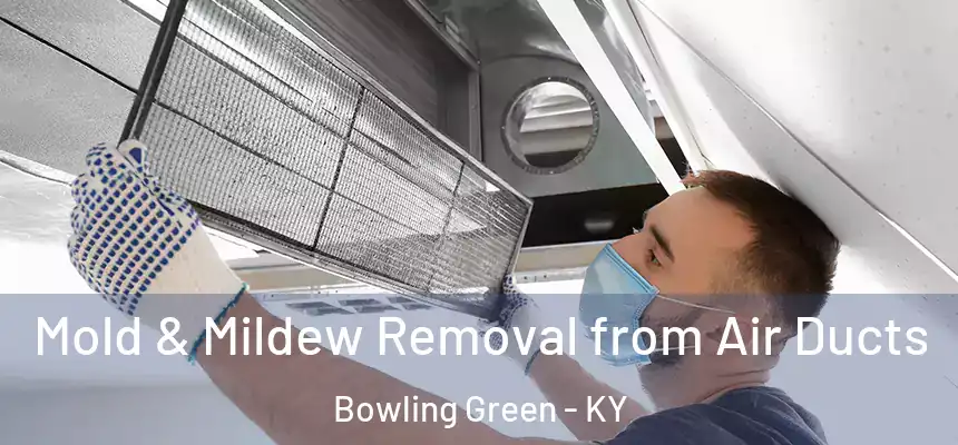 Mold & Mildew Removal from Air Ducts Bowling Green - KY