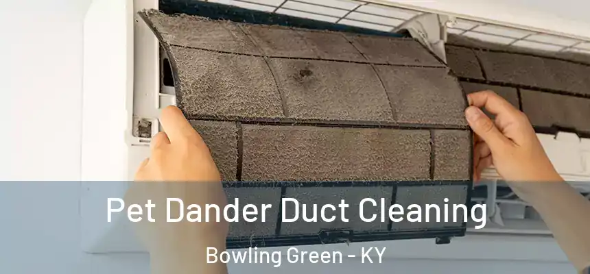 Pet Dander Duct Cleaning Bowling Green - KY