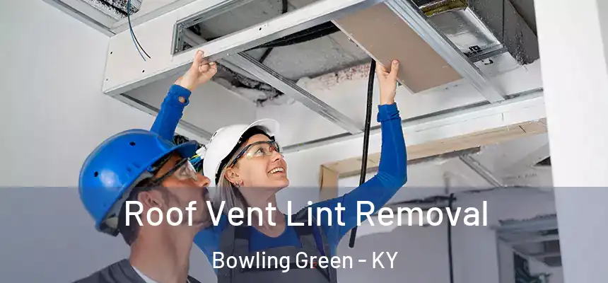Roof Vent Lint Removal Bowling Green - KY