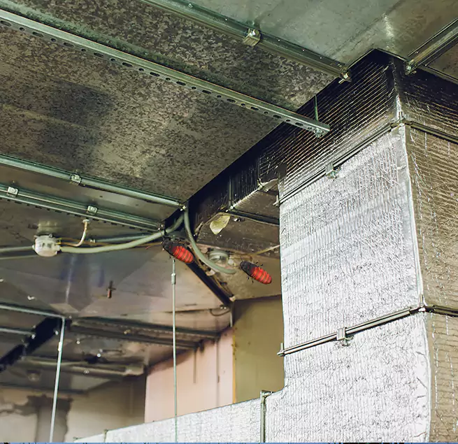 Why Homeowners & Businesses Trust Us in Bowling Green, KY?