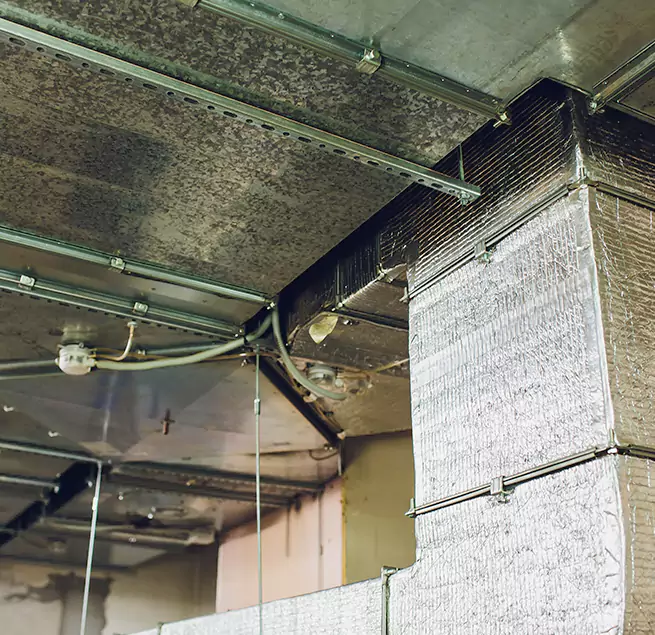 Why Homeowners & Businesses Trust Us in Bowling Green, KY?